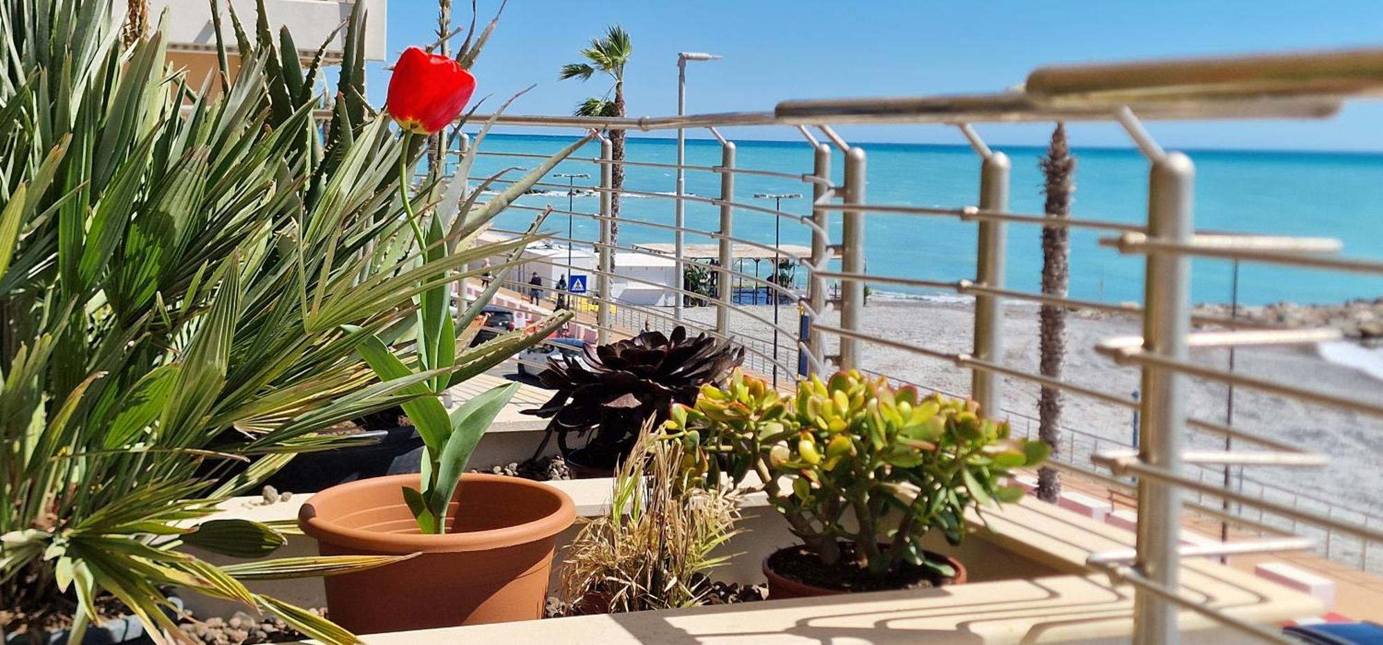 Apartmán Mare Blu Ventimiglia Exteriér fotografie